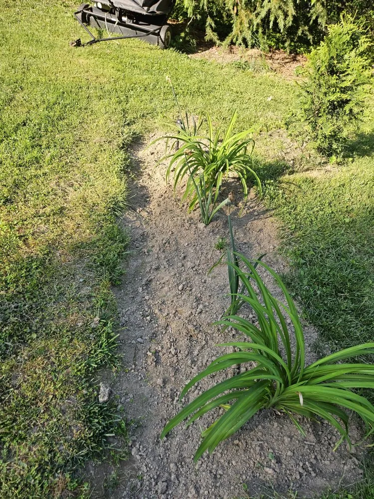 Expert yard cleanup service experts serving Fredericksburg, VA - Sisters With A Mower