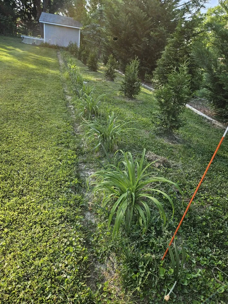 Affordable lawn care service in Fredericksburg, VA by Sisters With A Mower