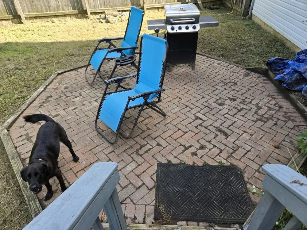 Top-rated lawn mowing service for beautiful yards across Fredericksburg, VA - Sisters With A Mower