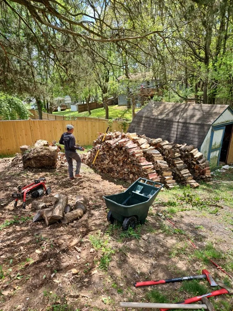 Expert landscaping services in Fredericksburg, VA by Sisters With A Mower