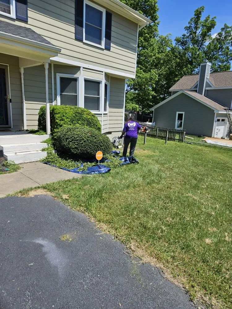 Reliable yard cleanup service near you across Fredericksburg, VA - Sisters With A Mower