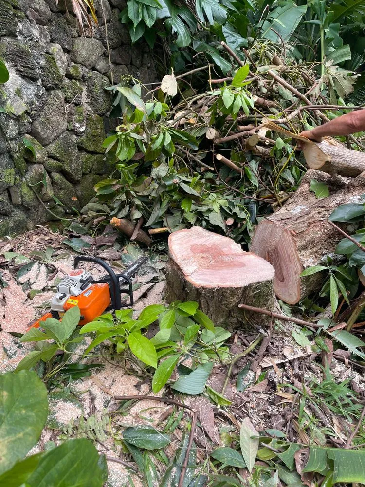 Trusted outdoor landscaping experts serving Kaneohe, HI - Sitake Landscape & Masonry