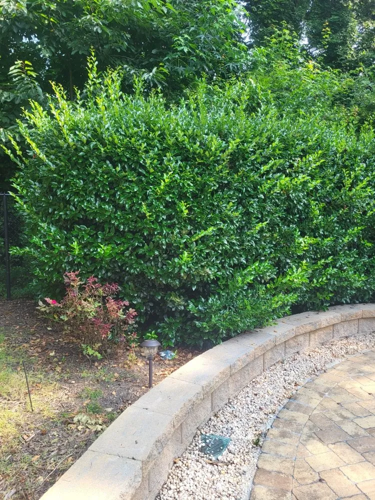Top-rated outdoor landscaping in Lincolnton, NC - Site Prep And Hauling