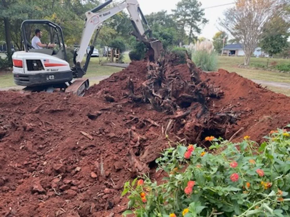 Professional yard maintenance in Lincolnton, NC by Site Prep And Hauling