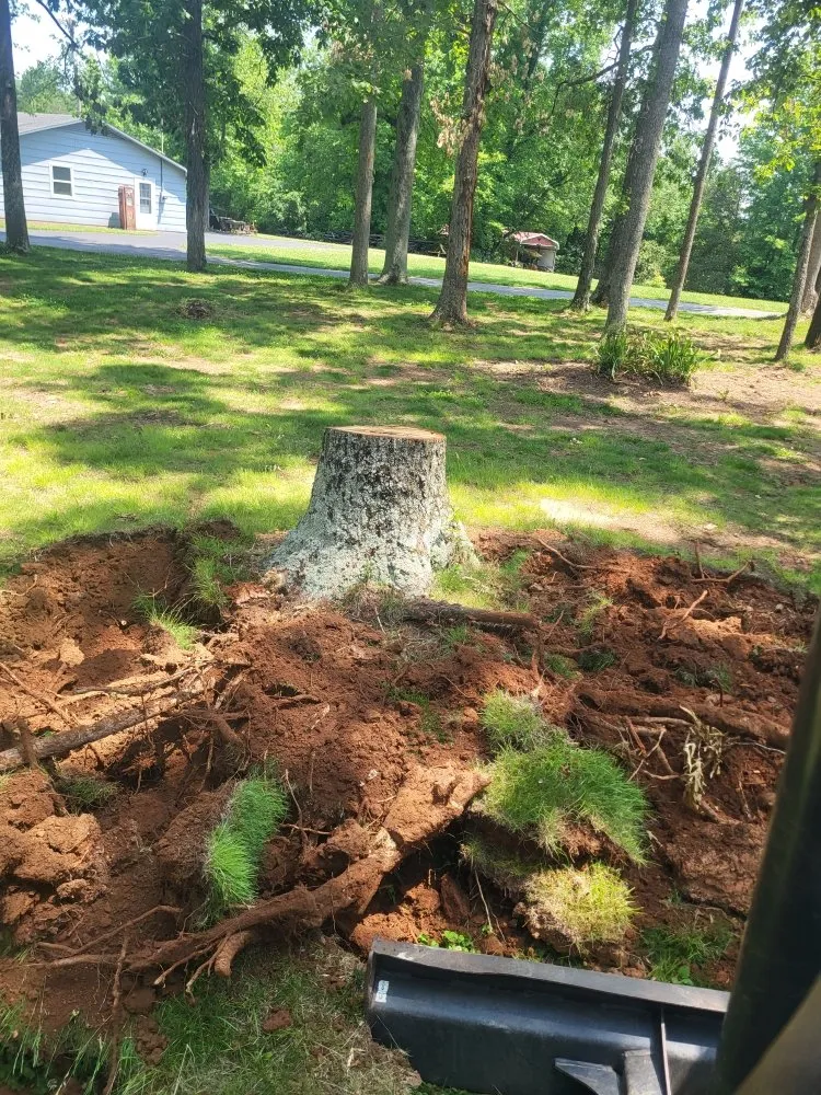 Affordable lawn care service in Lincolnton, NC by Site Prep And Hauling