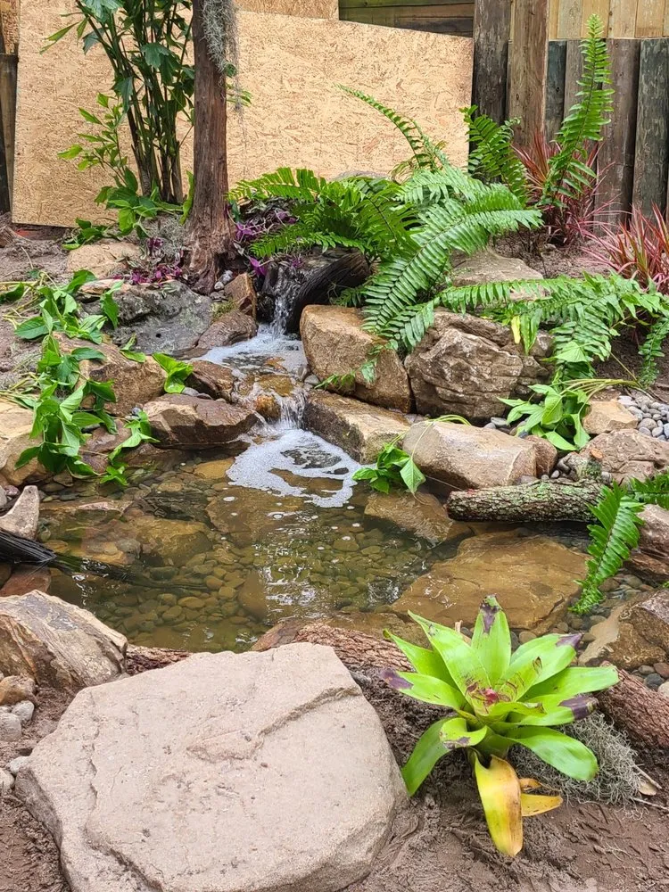 Local landscaping services for outdoor upgrades across Winter Springs, FL - Site Pros Landscaping