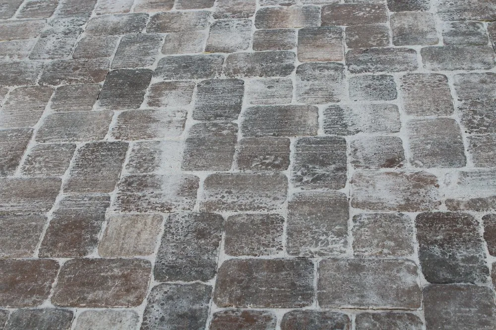 Trusted outdoor landscaping experts serving Winter Springs, FL - Site Pros Landscaping