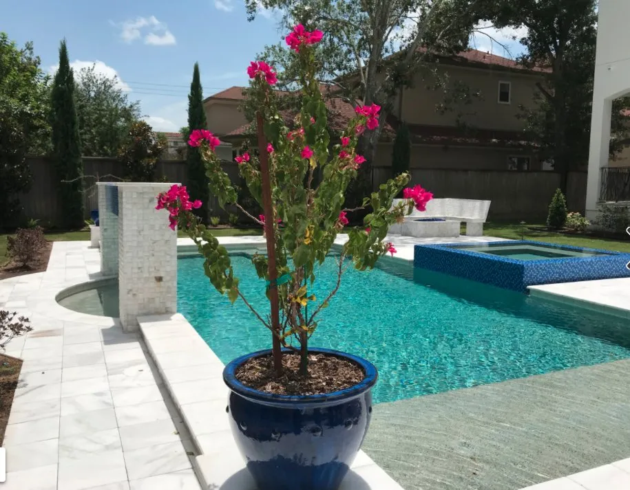 Trusted landscaping services experts serving Houston, TX - Site Solutions of Houston