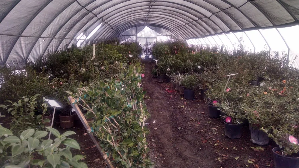 Top-rated landscaping services in Alpharetta, GA by SiteOne Landscape Supply