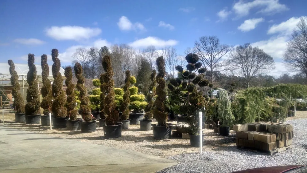 Expert residential landscaping experts serving Alpharetta, GA - SiteOne Landscape Supply