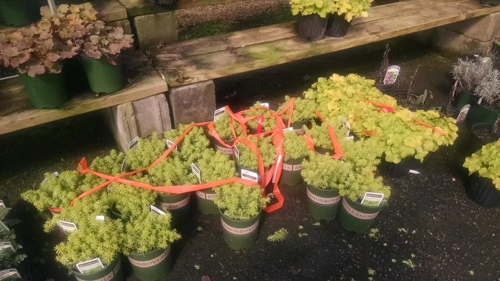 Professional garden landscaping near you across Alpharetta, GA - SiteOne Landscape Supply