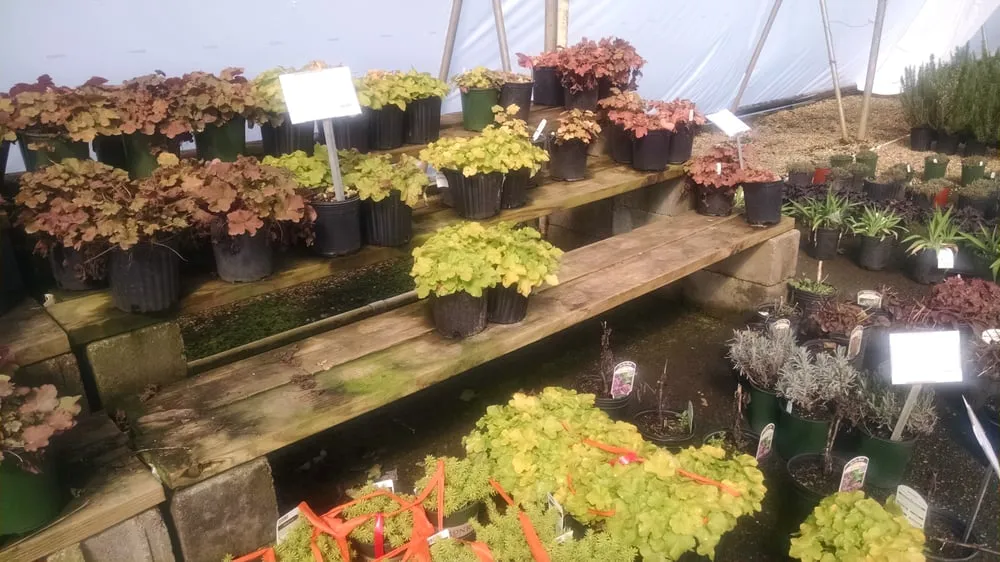 Professional landscape installation for year-round maintenance in Alpharetta, GA by SiteOne Landscape Supply