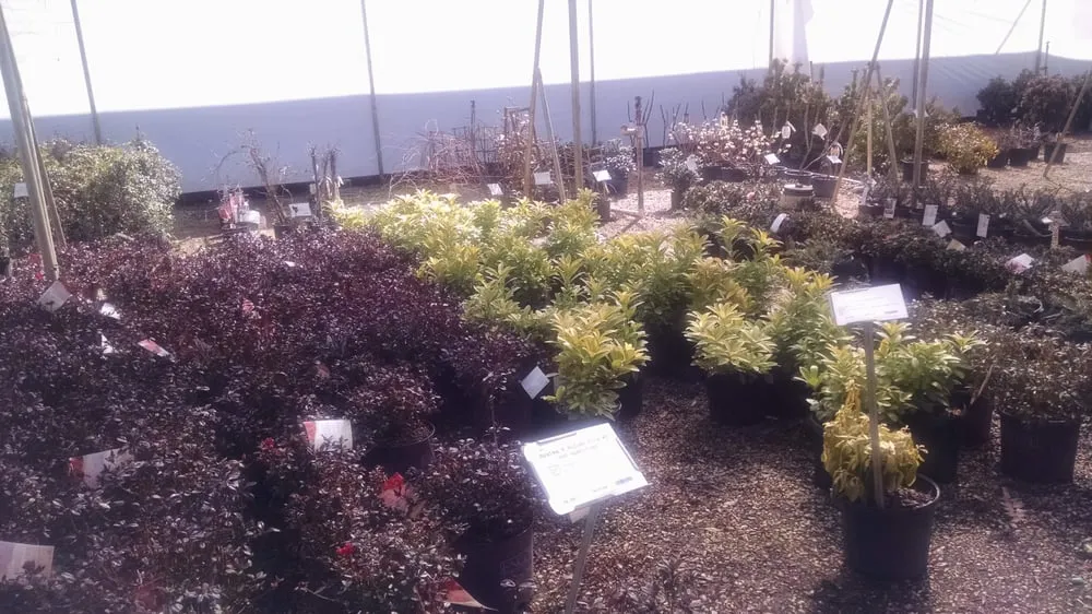 Reliable landscaping services experts serving Alpharetta, GA - SiteOne Landscape Supply