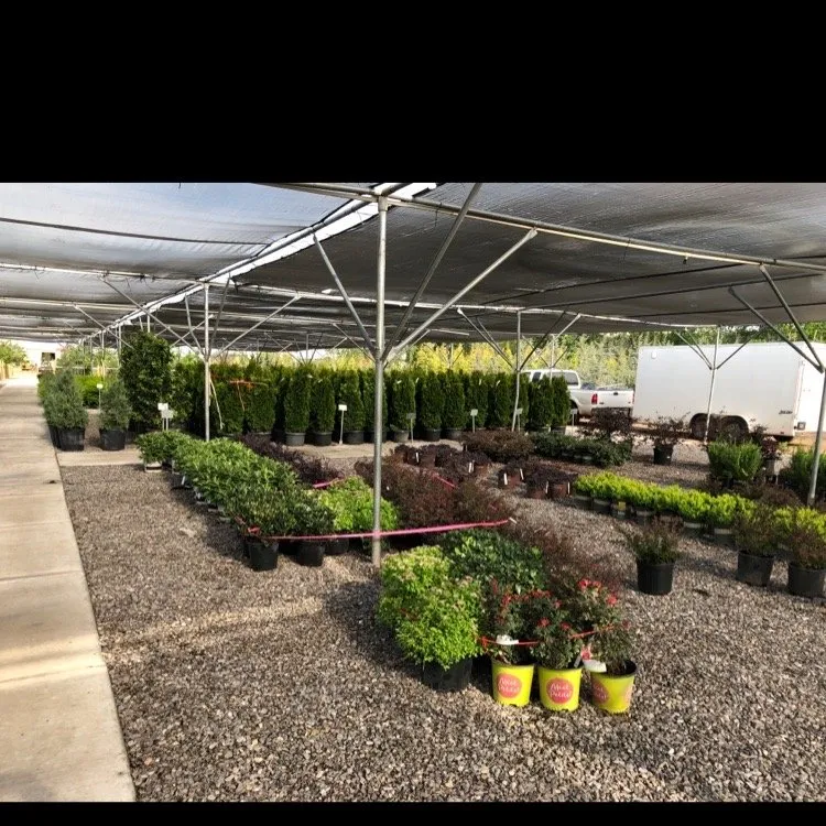 Local residential landscaping in Edmond, OK - SiteOne Landscape Supply