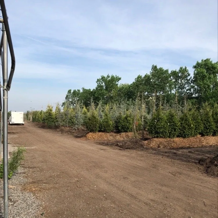 Custom landscape installation experts serving Edmond, OK - SiteOne Landscape Supply