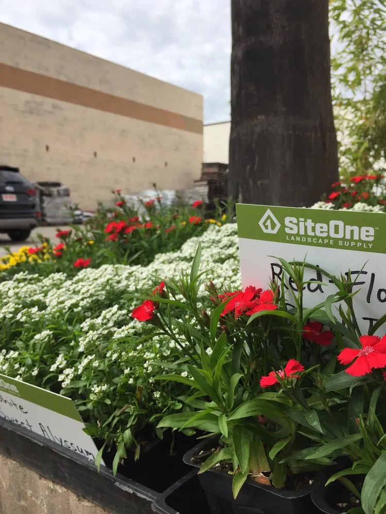 Professional lawn mowing service experts serving Escondido, CA - SiteOne Landscape Supply