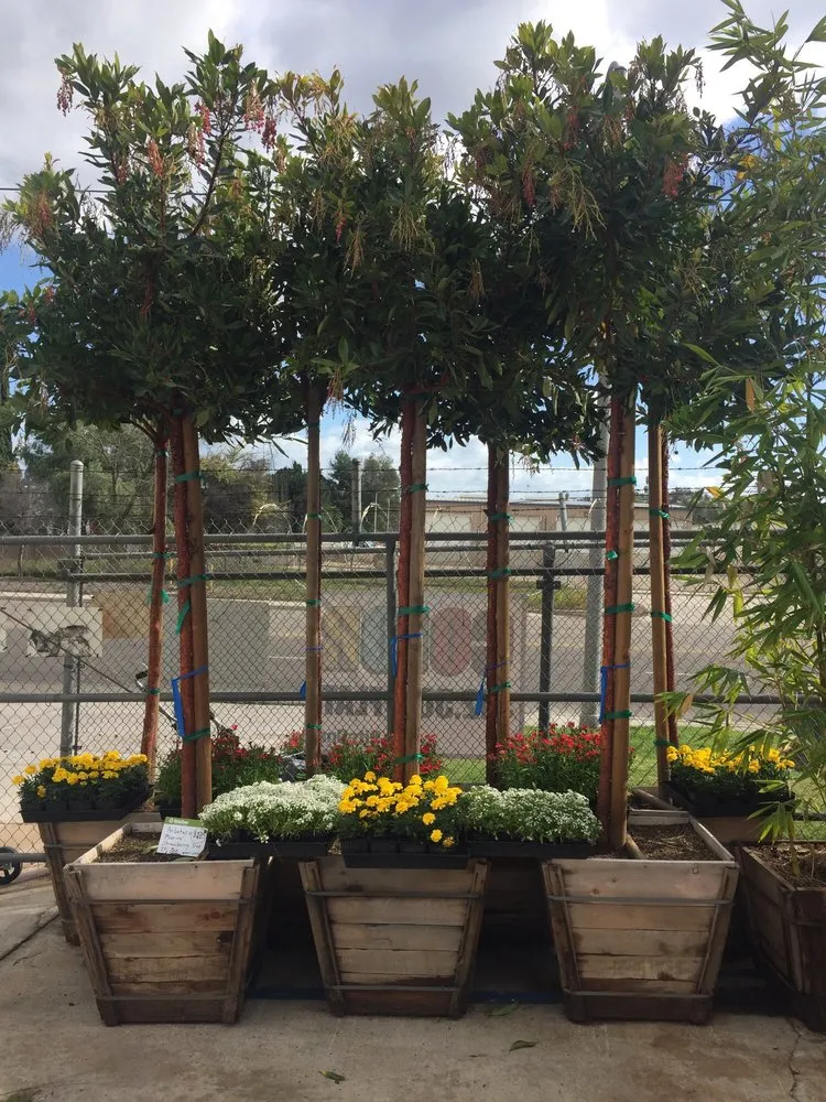 Trusted lawn mowing service in Escondido, CA - SiteOne Landscape Supply