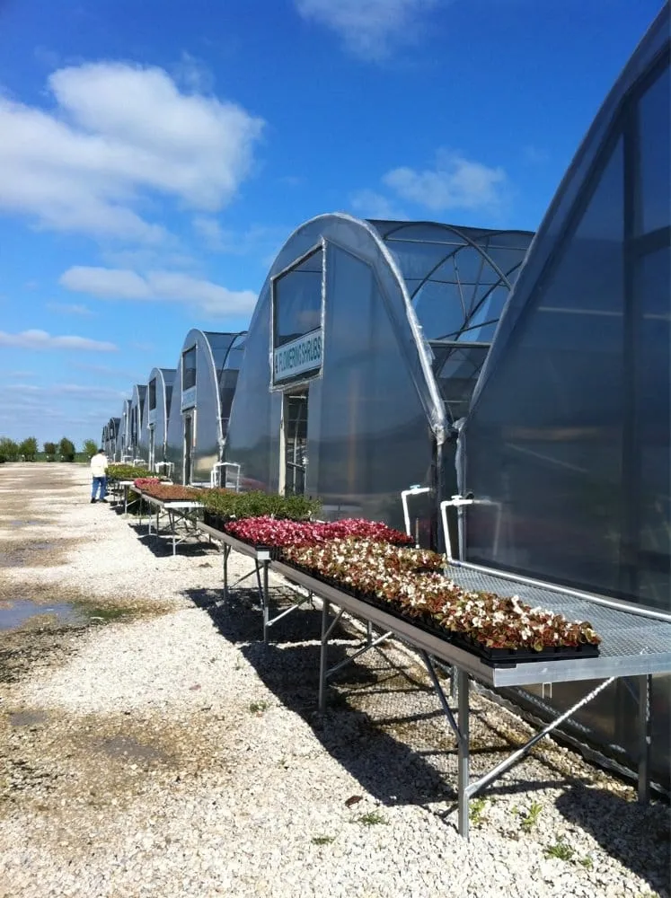 Local yard maintenance for outdoor upgrades across Prosper, TX - SiteOne Landscape Supply