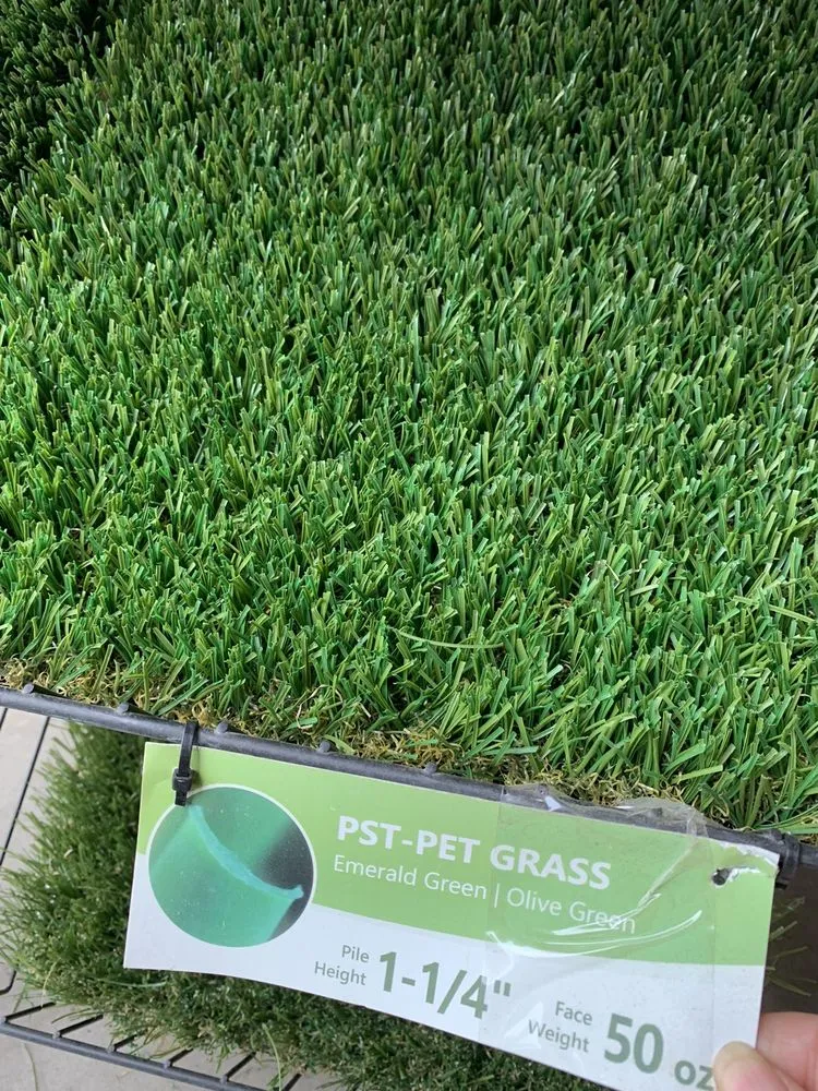 Reliable yard cleanup service in San Leandro, CA - SiteOne Landscape Supply