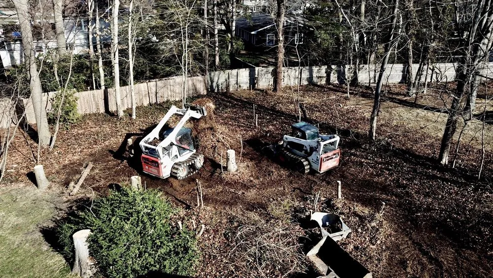 Professional lawn care service experts serving Stony Brook, NY - Sitescapes Landscape Design