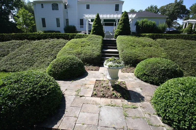 Professional lawn mowing service experts serving Stony Brook, NY - Sitescapes Landscape Design