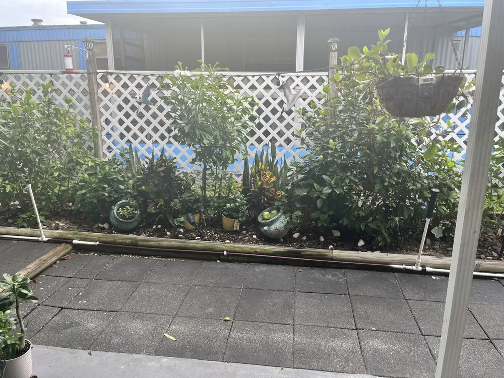 Reliable lawn mowing service experts serving Mount Plymouth, FL - Sitzer Immaculate Touch