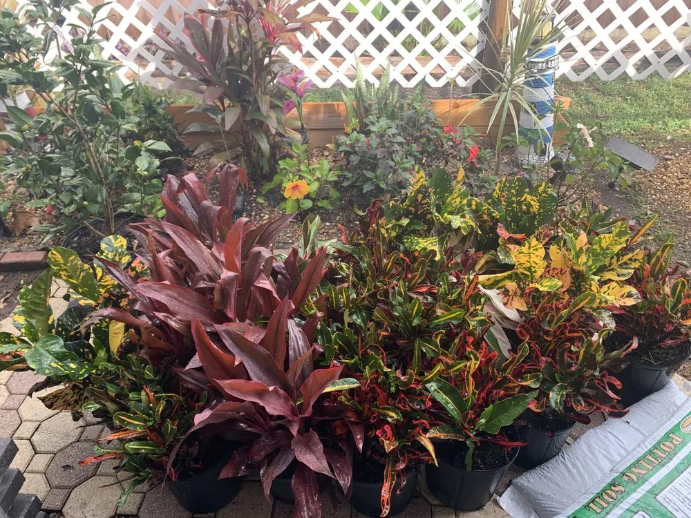 Professional landscape installation in Mount Plymouth, FL - Sitzer Immaculate Touch