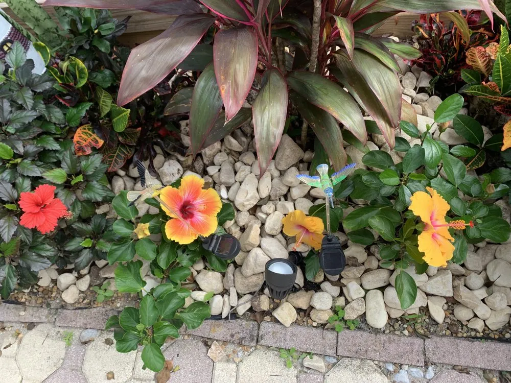 Custom outdoor landscaping in Mount Plymouth, FL by Sitzer Immaculate Touch