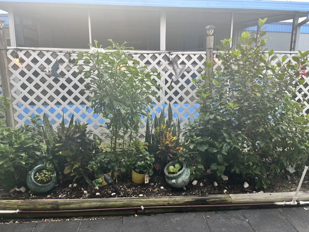 Expert landscape design in Mount Plymouth, FL by Sitzer Immaculate Touch