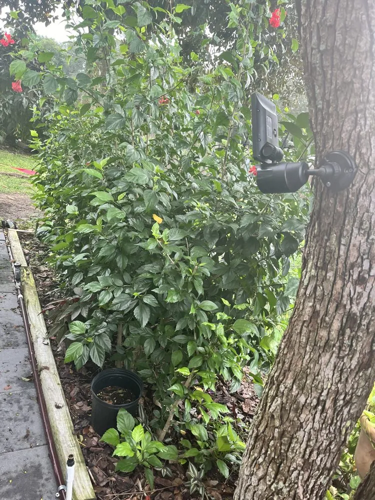 Affordable yard maintenance in Mount Plymouth, FL by Sitzer Immaculate Touch