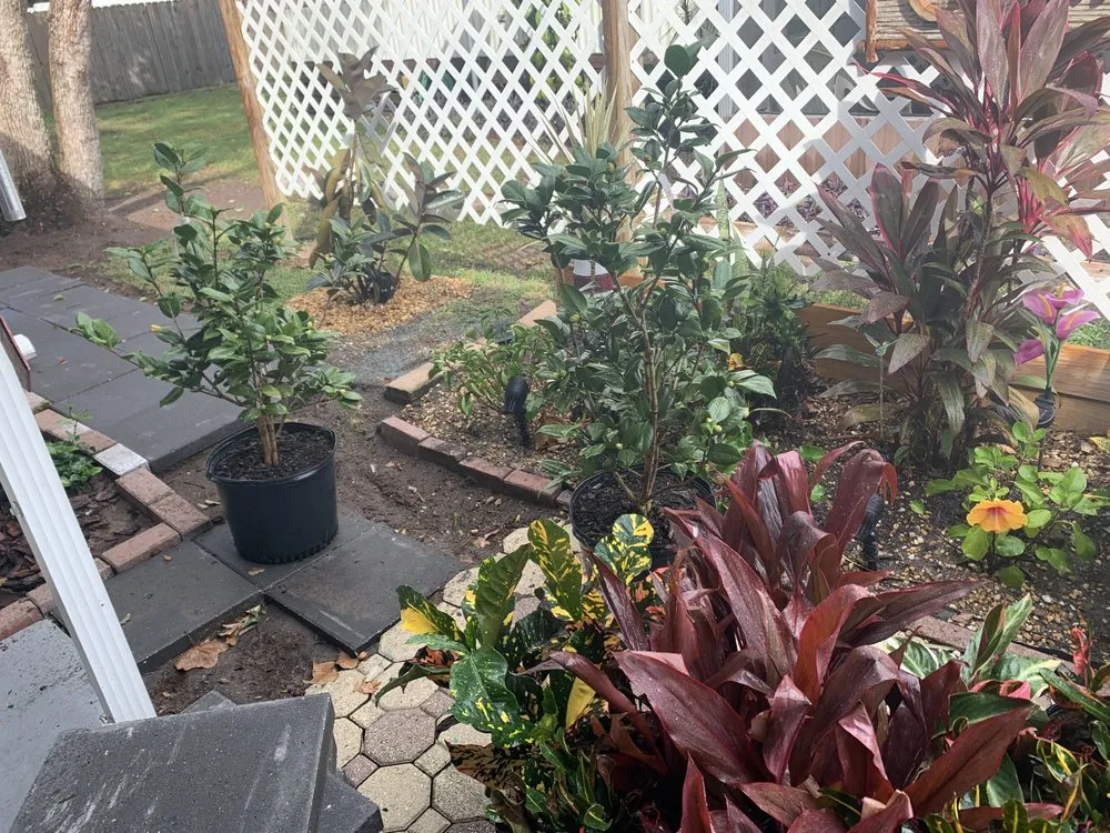 Professional landscape installation with custom design across Mount Plymouth, FL - Sitzer Immaculate Touch