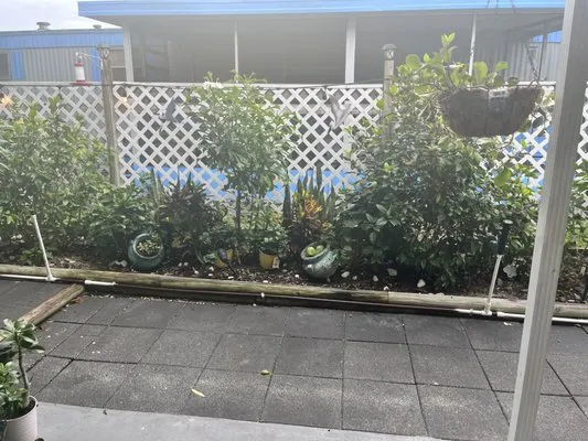 Sitzer Immaculate Touch