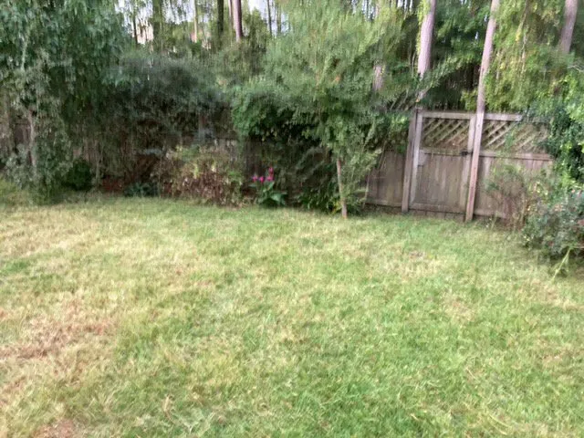 Top-rated yard cleanup service for outdoor upgrades in North Charleston, SC by Sivies Family Garden