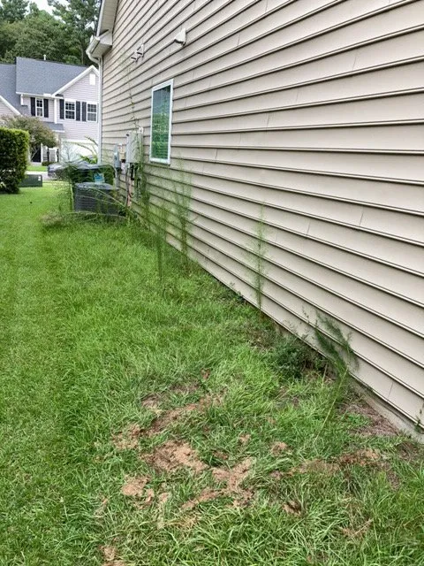 Top-rated yard maintenance experts serving North Charleston, SC - Sivies Family Garden