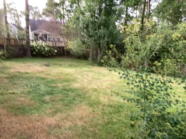 Top-rated landscape installation near you across North Charleston, SC - Sivies Family Garden