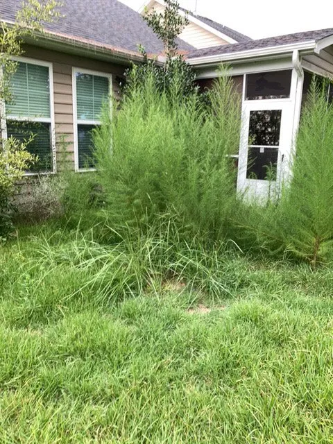 Reliable yard maintenance experts serving North Charleston, SC - Sivies Family Garden