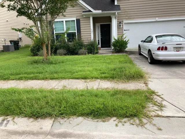 Top-rated residential landscaping for year-round maintenance in North Charleston, SC by Sivies Family Garden