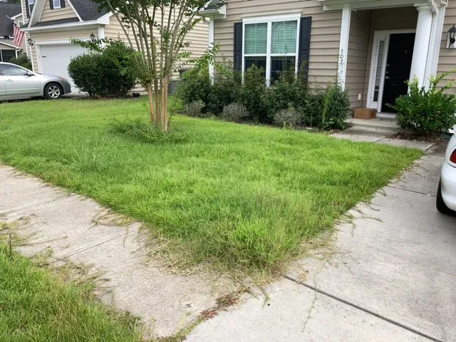 Reliable lawn care service for year-round maintenance in North Charleston, SC by Sivies Family Garden