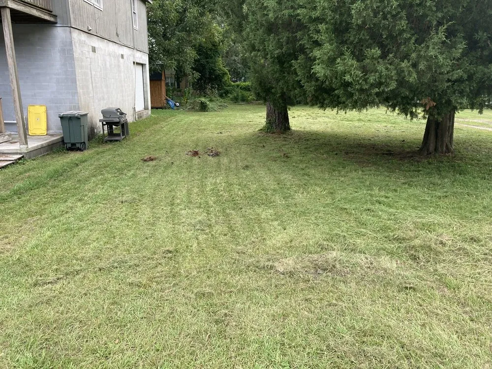 Expert landscape design experts serving North Charleston, SC - Sivies Family Garden