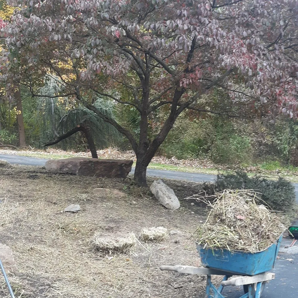 Reliable yard maintenance in Carlisle, PA by Siwells landscaping