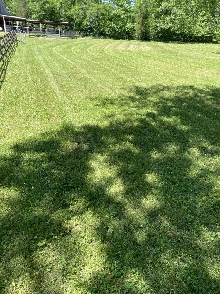 Local lawn care service experts serving Nashville, TN - Six Days Landscaping