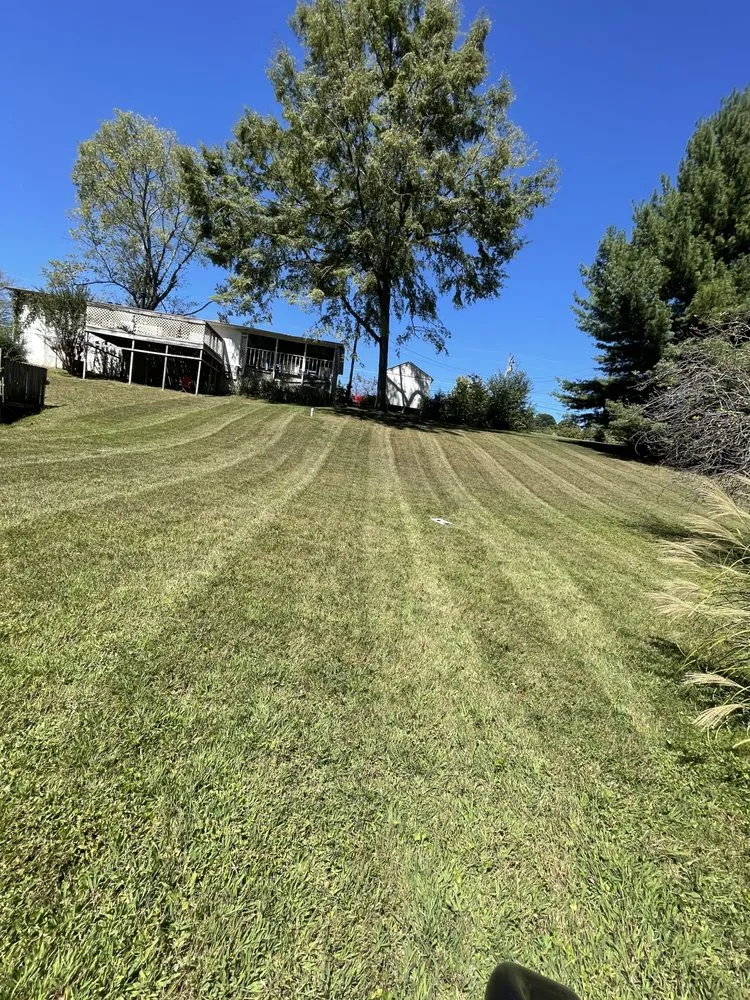 Local yard cleanup service experts serving Nashville, TN - Six Days Landscaping