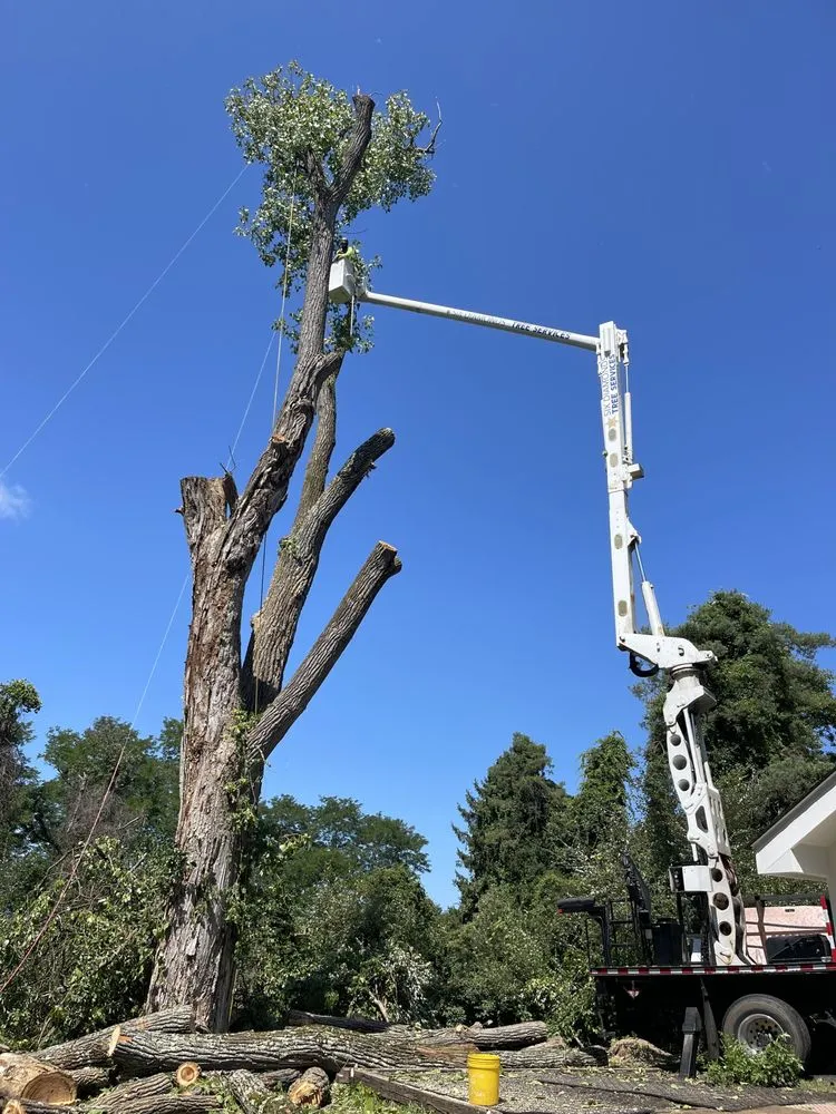 Trusted yard maintenance experts serving Pawling, NY - Six Diamonds Tree Services & Landscaping