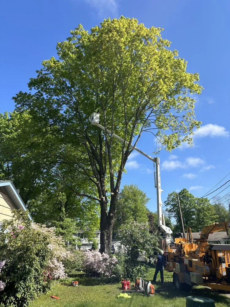 Custom outdoor landscaping experts serving Pawling, NY - Six Diamonds Tree Services & Landscaping