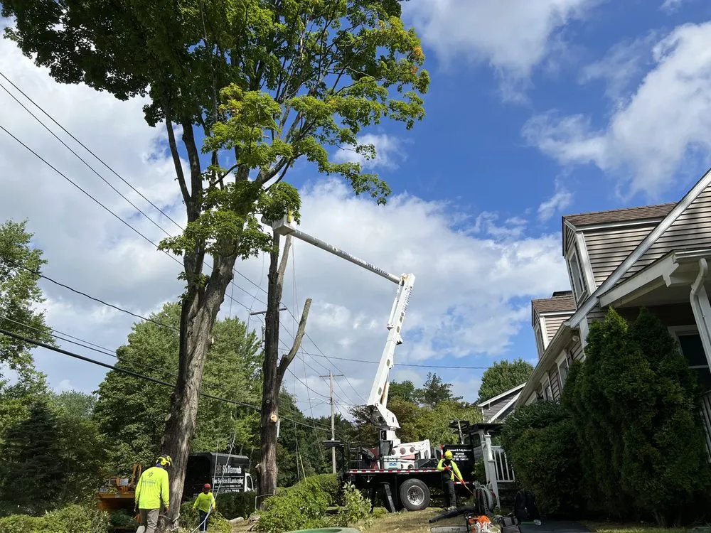 Reliable outdoor landscaping for outdoor upgrades across Pawling, NY - Six Diamonds Tree Services & Landscaping