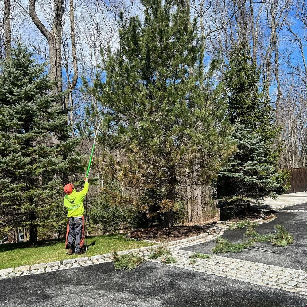 Professional landscape installation in Pawling, NY by Six Diamonds Tree Services & Landscaping