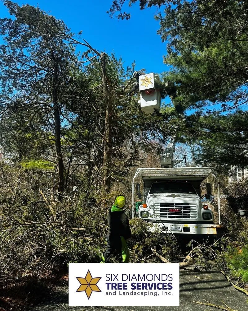 Professional lawn mowing service for homes across Pawling, NY - Six Diamonds Tree Services & Landscaping