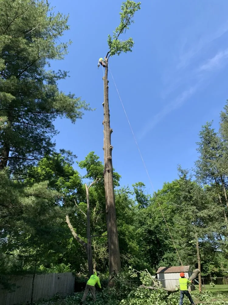 Affordable landscape design for residential properties in Pawling, NY by Six Diamonds Tree Services & Landscaping