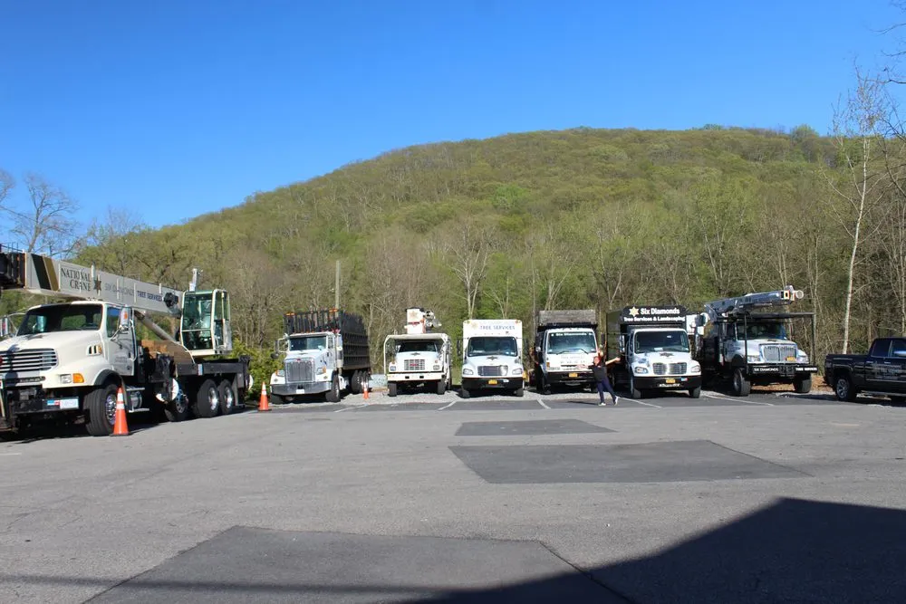 Local landscaping services experts serving Pawling, NY - Six Diamonds Tree Services & Landscaping