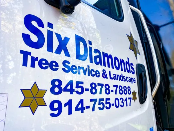 Professional landscape installation for residential properties in Pawling, NY by Six Diamonds Tree Services & Landscaping